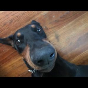 Meet your Posher, Marina